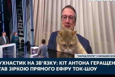 Хвост кота Геращенко сорвал прямой эфир замминистра. ВИДЕО