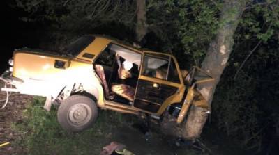 В Житомирской области в ДТП погибло два человека