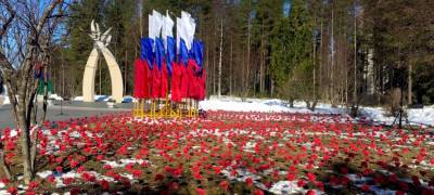 Волонтеры принесли по цветку за каждый день войны к мемориалу в Карелии