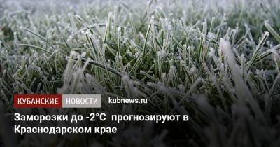 Заморозки до -2°С прогнозируют в Краснодарском крае