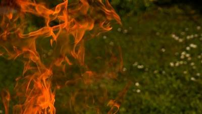 В Башкирии за сутки зарегистрировали пять лесных пожаров
