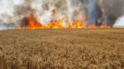 Пожары у границы с Газой и возле Хайфы: десятки возгораний за один день
