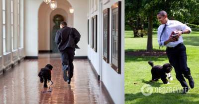 В Обамы умерла собака