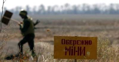День на Донбассе: украинские пиротехники разминировали 5 га территории