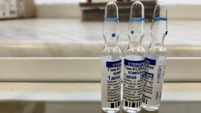 Создатели "Спутника V" заявили о продолжении переговоров по поставкам вакцины в Германию