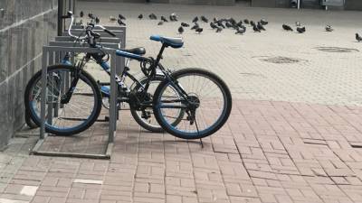 Полицейские в Липецке разыскивают похитителя велосипеда