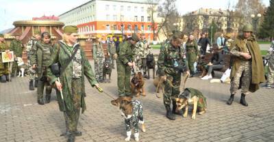 Люди и питомцы в одном строю: парад в честь Дня Победы с участием домашних любимцев прошёл в Кузбассе
