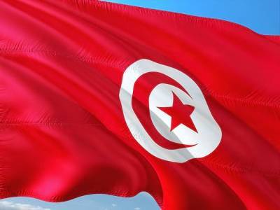 В Тунисе введён жесткий недельный карантин и мира