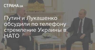 Путин и Лукашенко обсудили по телефону стремление Украины в НАТО