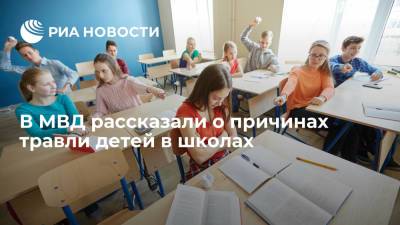 В МВД рассказали о причинах травли детей в школах