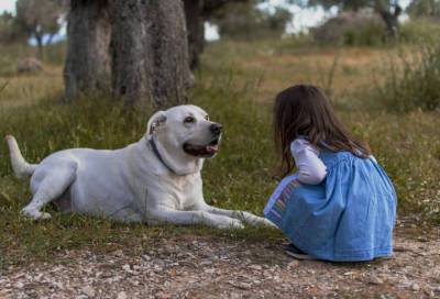 Кинолог назвал правила безопасного «общения» детей и собак