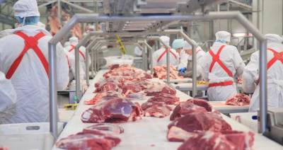 Юрий Ковалев - Экспорт мяса из России продолжает расти - produkt.by