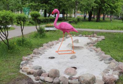 В кировском парке «поселился» розовый фламинго