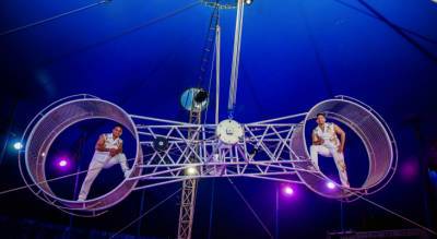 Смертельно опасный трюк с завязанными глазами, 40-килограммовые питоны и гости из Бразилии - в Чебоксары приезжает цирк-шапито