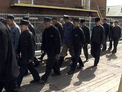 Россияне выступили за привлечение заключенных к труду вместо мигрантов