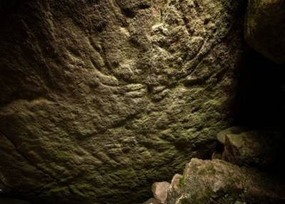 В Шотландии нашли древнейший доисторический барельеф оленя