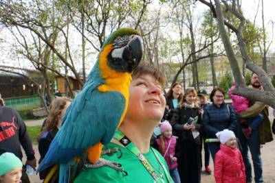 Детей и подростков бесплатно пустят в Ленинградский зоопарк в честь праздника