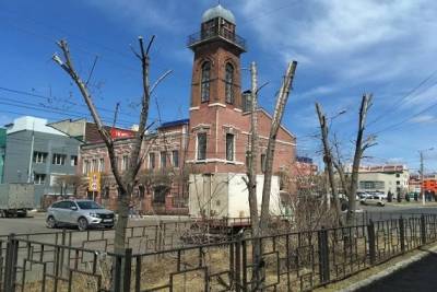 ГИБДД не выдвигало требования по обрезке деревьев на улице Журавлёва