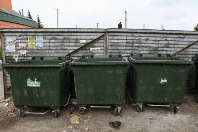 В Тюменской области снова вырос тариф на вывоз мусора: в связи с запуском новых заводов