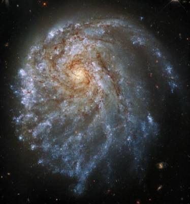 Телескоп Хаббл обнаружил деформированную гравитацией галактику