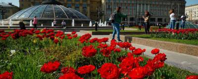 Сергей Собянин: Москву украсят 54 миллиона цветов