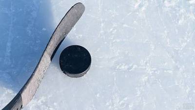Россия обыграла Швецию на ЧМ по хоккею