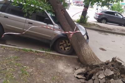 На припаркованную машину в Рязани упало вырванное с корнем дерево