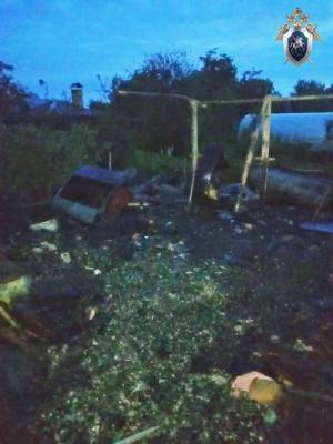 Пенсионерка погибла на пожаре в дачном домике в Автозаводском районе