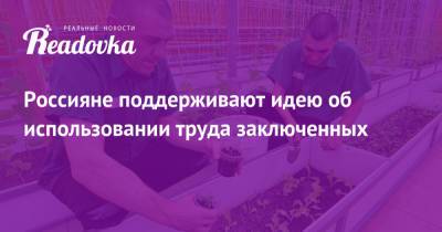 Россияне поддерживают идею об использовании труда заключенных - readovka.news