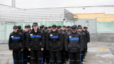 ВЦИОМ: россияне поддерживают идею замены мигрантов осуждёнными