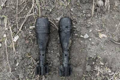 Возле озера Ледового в Мурманске обнаружены два минометных снаряда