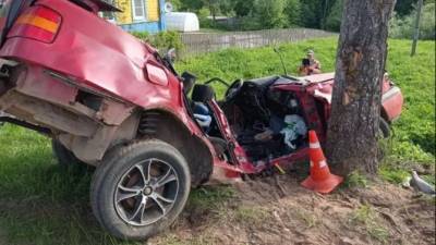 Три человека погибли в ДТП в Куньинском районе Псковской области