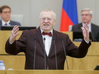"Они все дети": Жириновский предложил продлить детство до 30 лет
