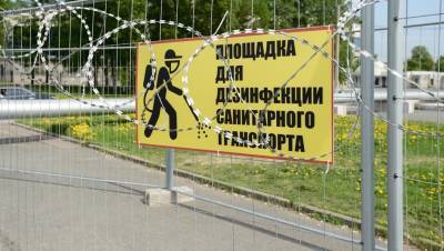Петербург замер у отметки в 40 смертей от ковида в день