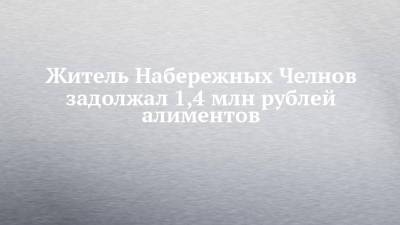 Житель Набережных Челнов задолжал 1,4 млн рублей алиментов