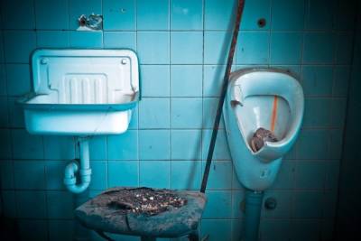 В Кремле оценили конкурс на худший школьный туалет
