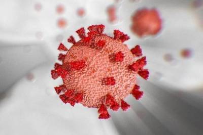 В Чувашии снова выявили 47 заболевших коронавирусом