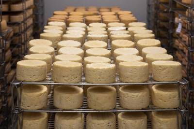 В России начали маркировать сыр и мороженое: как проверить подлинность