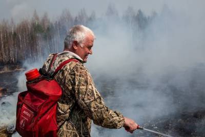 Впервые за месяц Тюменская область перестала быть лидером в РФ по площади лесных пожаров