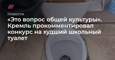 «Это вопрос общей культуры». Кремль прокомментировал конкурс на худший школьный туалет