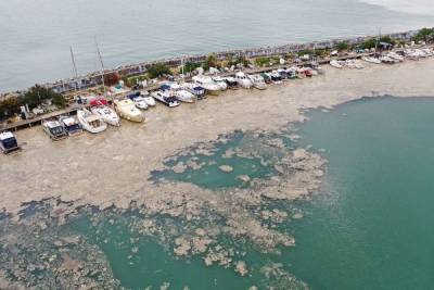 Крупнейший турецкий мегаполис обволакивают «морские сопли»