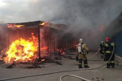 Более 900 пожаров произошло в Дагестане в этом году