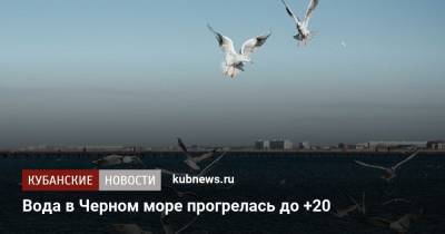 Вода в Черном море прогрелась до +20