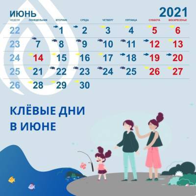 Опубликован календарь с лучшими днями для рыбалки в июне на территории Ленобласти