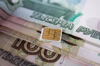 В МВД рассказали о новом способе хищения денег с банковских счетов жителей Екатеринбурга