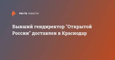 Бывший гендиректор "Открытой России" доставлен в Краснодар