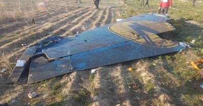 В Украину прилетела иранская делегация, будут говорить о сбитом самолете МАУ