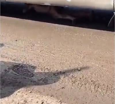 В Астрахани голый мужчина кидался под колеса автомобилей