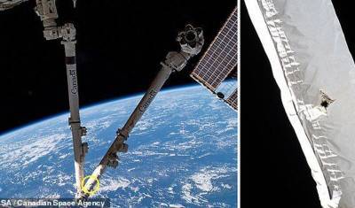 Кусок космического мусора протаранил роботизированную руку на МКС