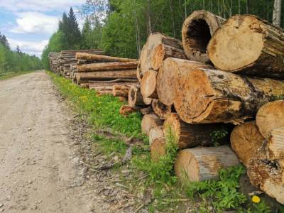В Слудицах жители оказались недовольны разбитой лесовозами дорогой